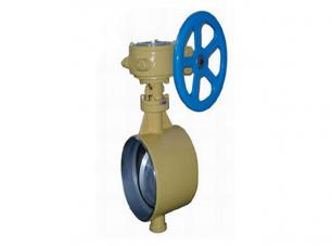 焊接(jiē)保溫蝶閥 焊接保(bǎo)溫蝶閥