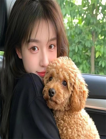 专业音乐片评论：速度与激情3版的技术创新与艺术成就 ——音乐片的专业鉴赏